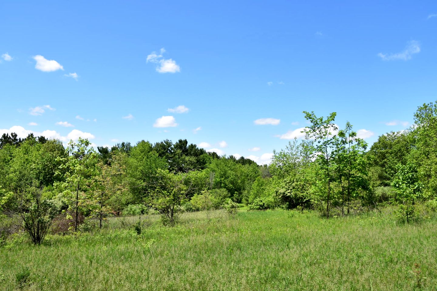 Three Quaint Glamping Tents Surrounded by Nature for a Wonderful Group Getway in Troy, Wisconsin