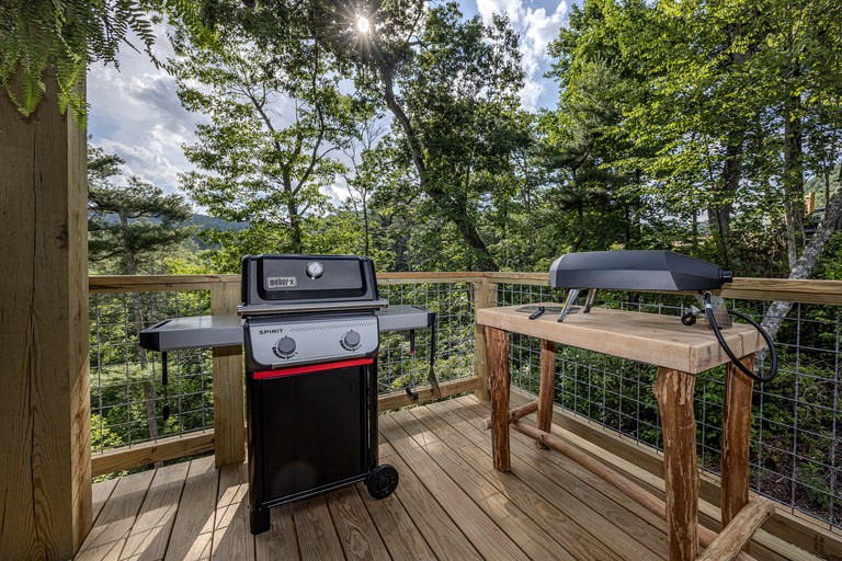 Tree Houses (United States of America, Zirconia, North Carolina)
