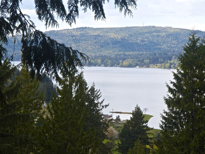 Cabins (Bellingham, Washington, United States)