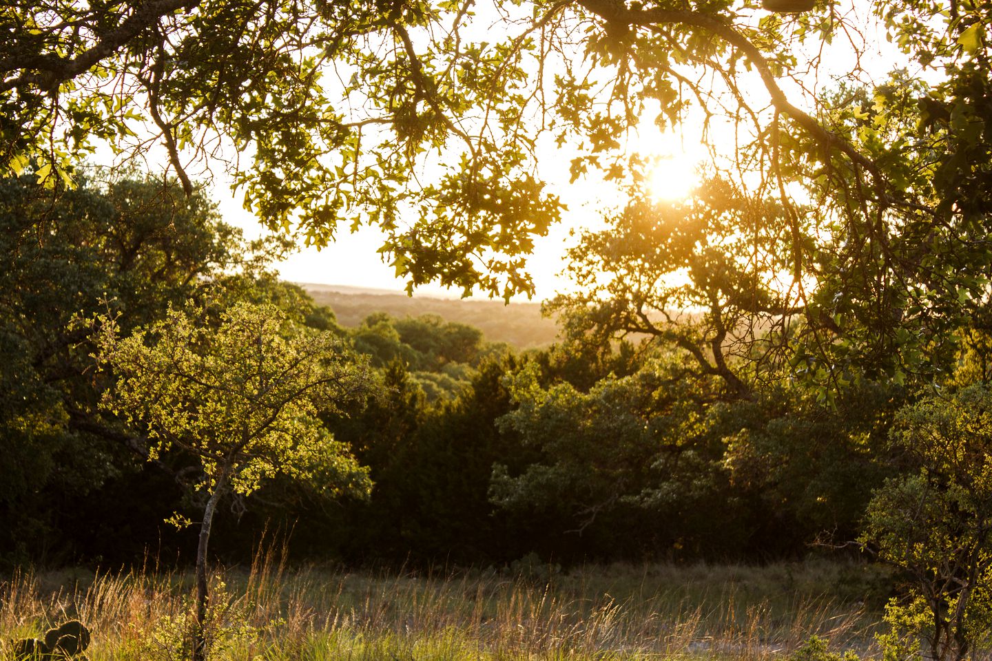 Rustic Off-the-Grid Cabin near Ample Outdoor Recreation in Harper, Texas