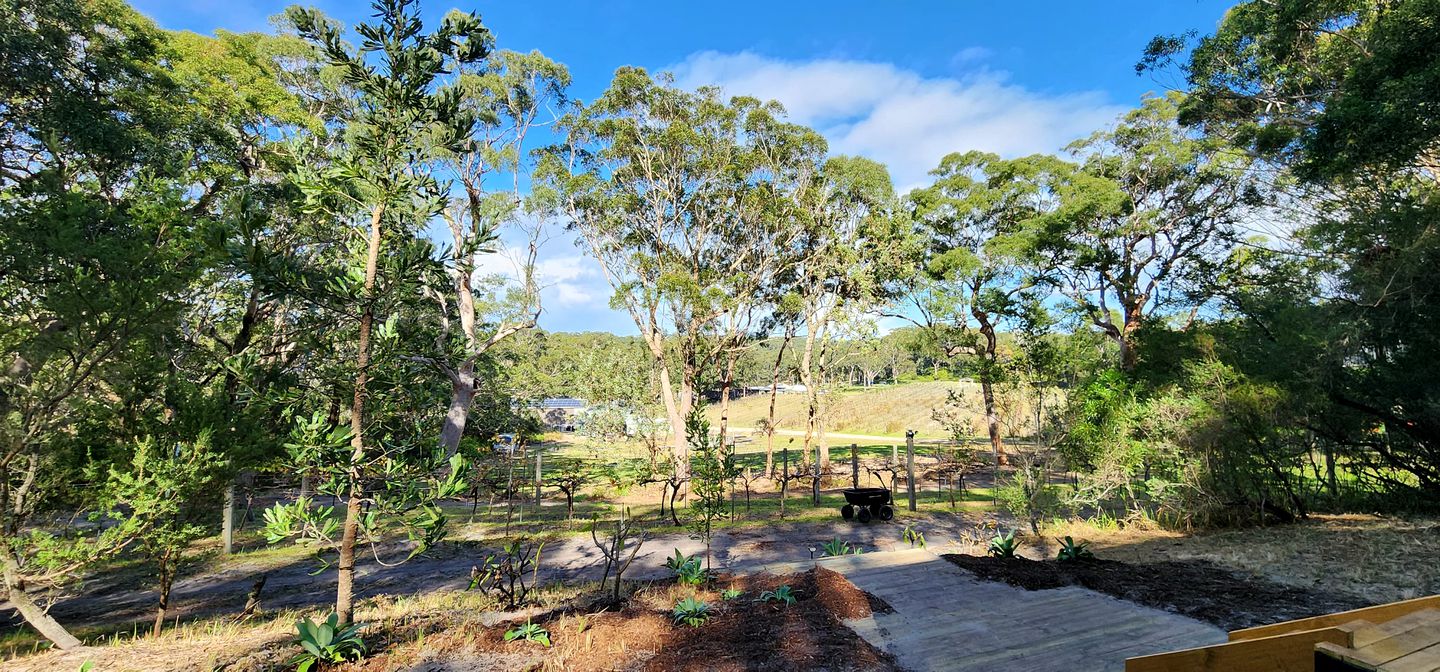 Fantastic Tiny House Retreat with Vineyards Views in Anna Bay, New South Wales