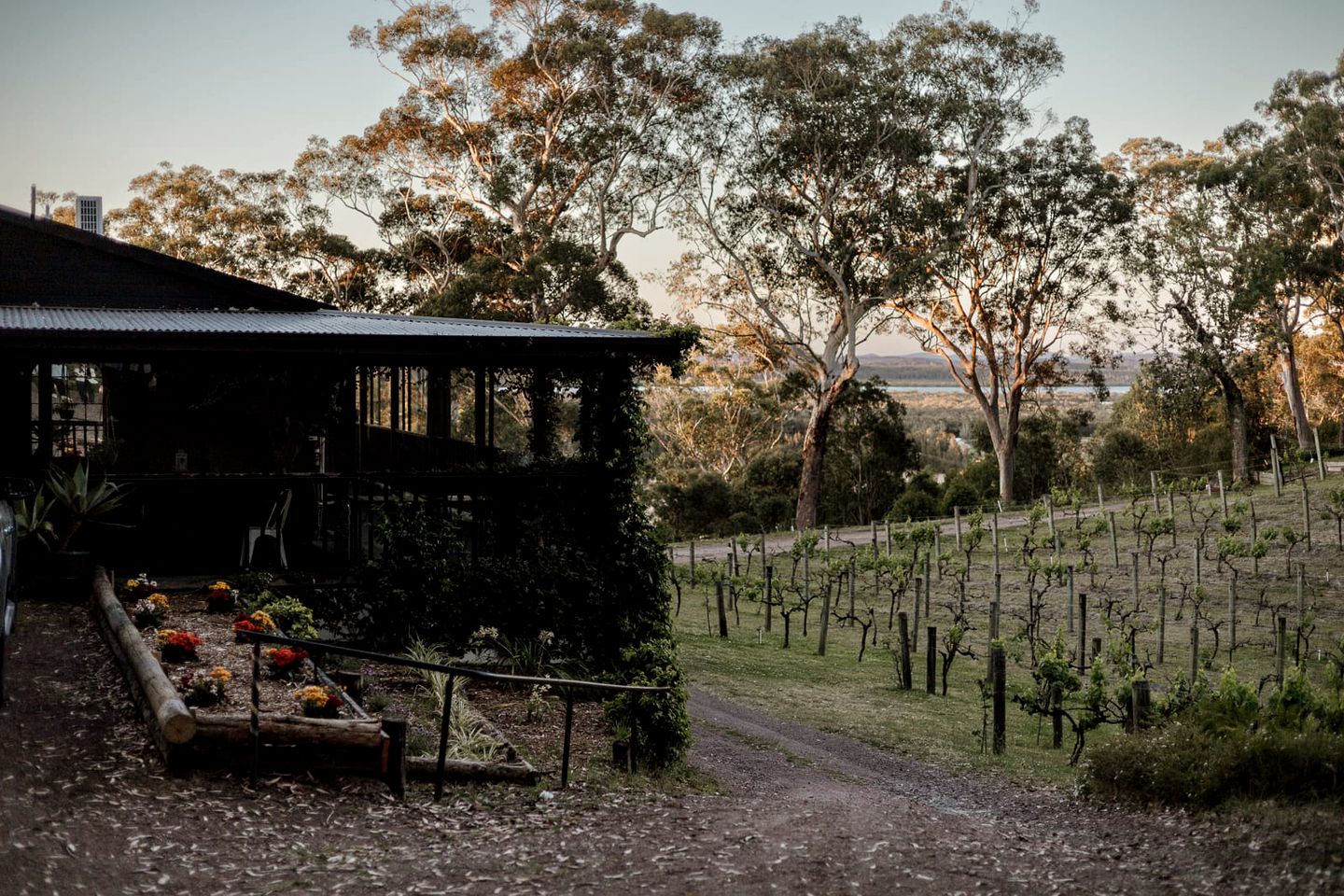 Fantastic Tiny House Retreat with Vineyards Views in Anna Bay, New South Wales