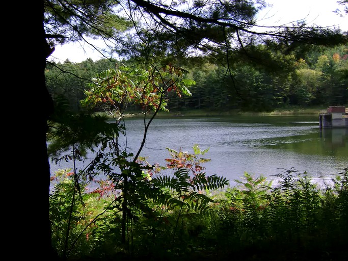 Yurts (New Haven, Vermont, United States)