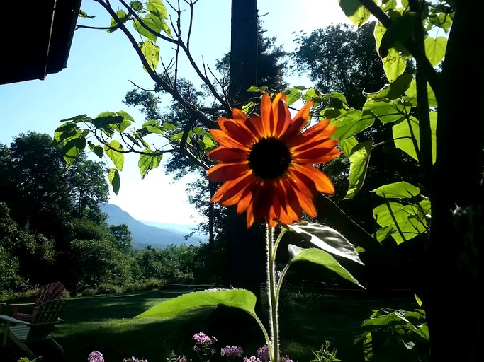 Yurts (New Haven, Vermont, United States)