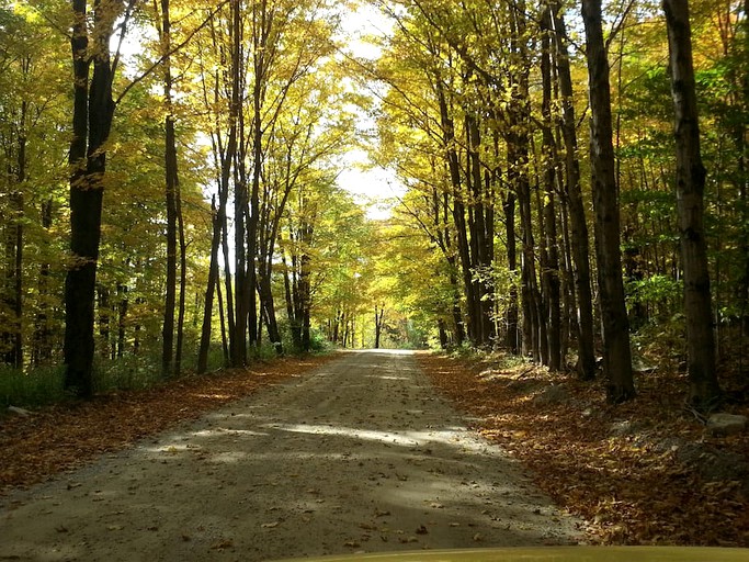 Yurts (New Haven, Vermont, United States)