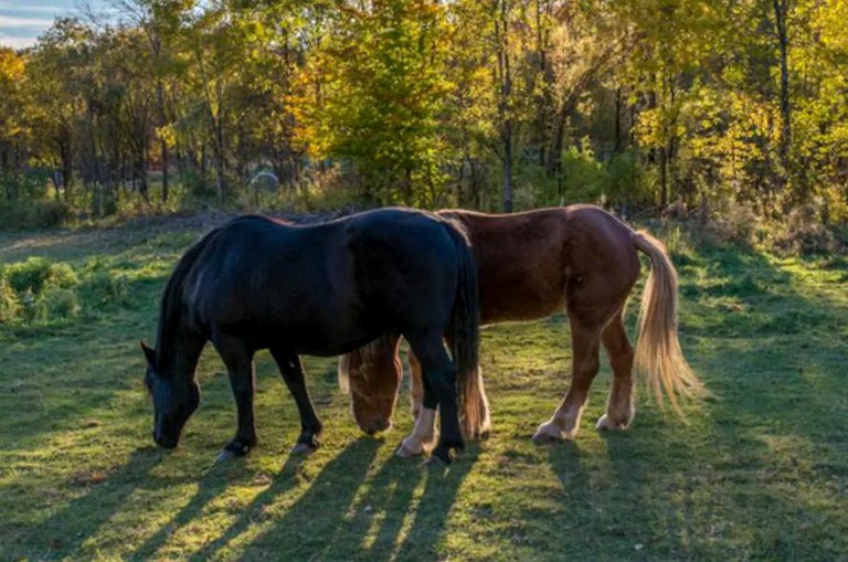 Cabins (Wells, Vermont, United States)