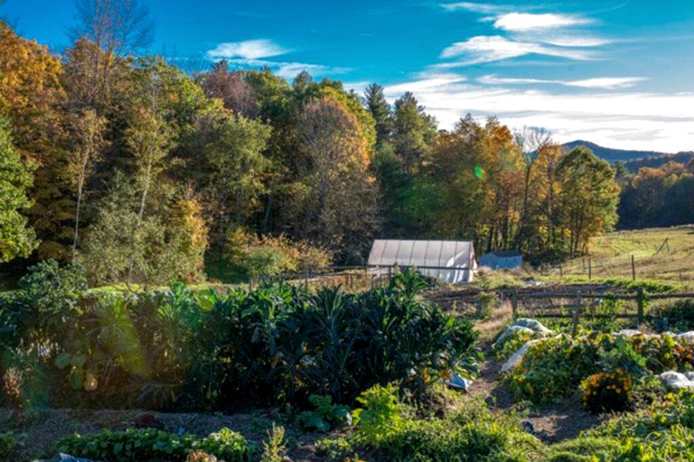 Cabins (Wells, Vermont, United States)