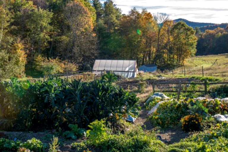 Tented Cabins (Wells, Vermont, United States)