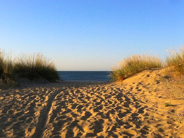 undefined photo 4