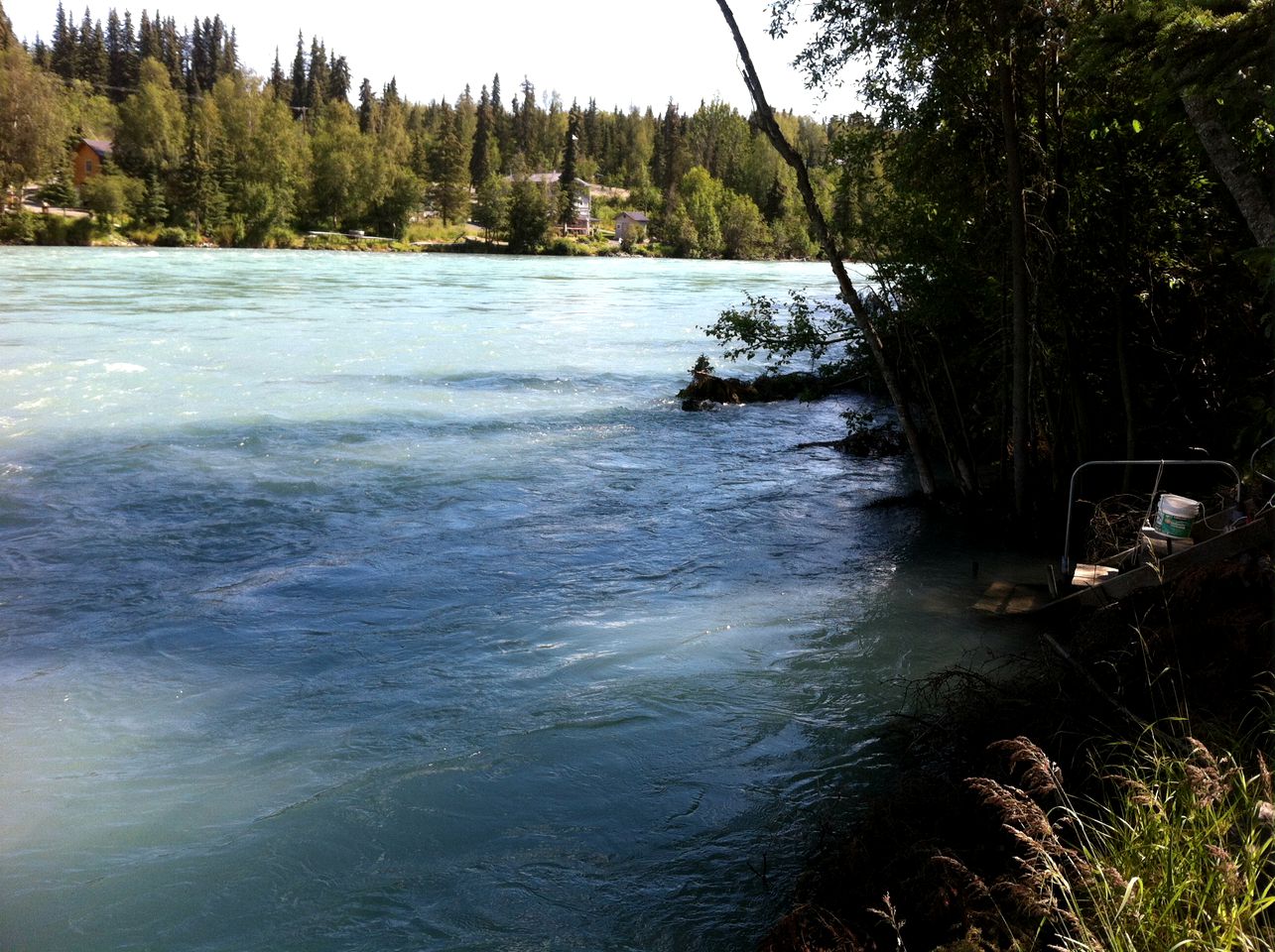 Superb Room Rental in a Bed and Breakfast in Soldotna, Alaska