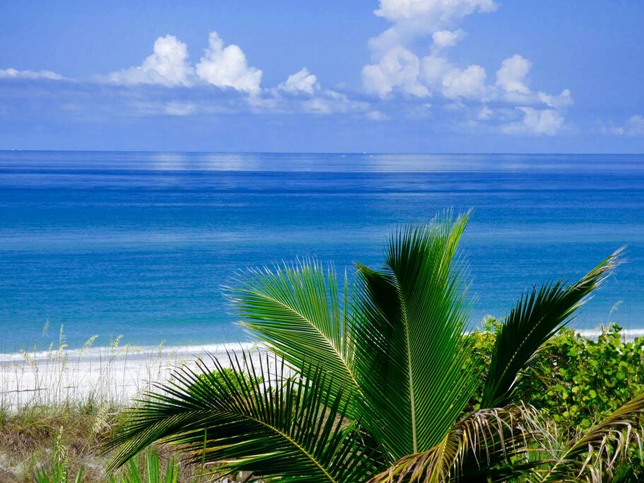 Incredible Beach Front Cottage with Gorgeous Sea Views for a Peaceful Escape on Little Gasparilla Island, Florida