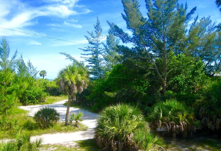 Cottages (United States of America, Placida, Florida)
