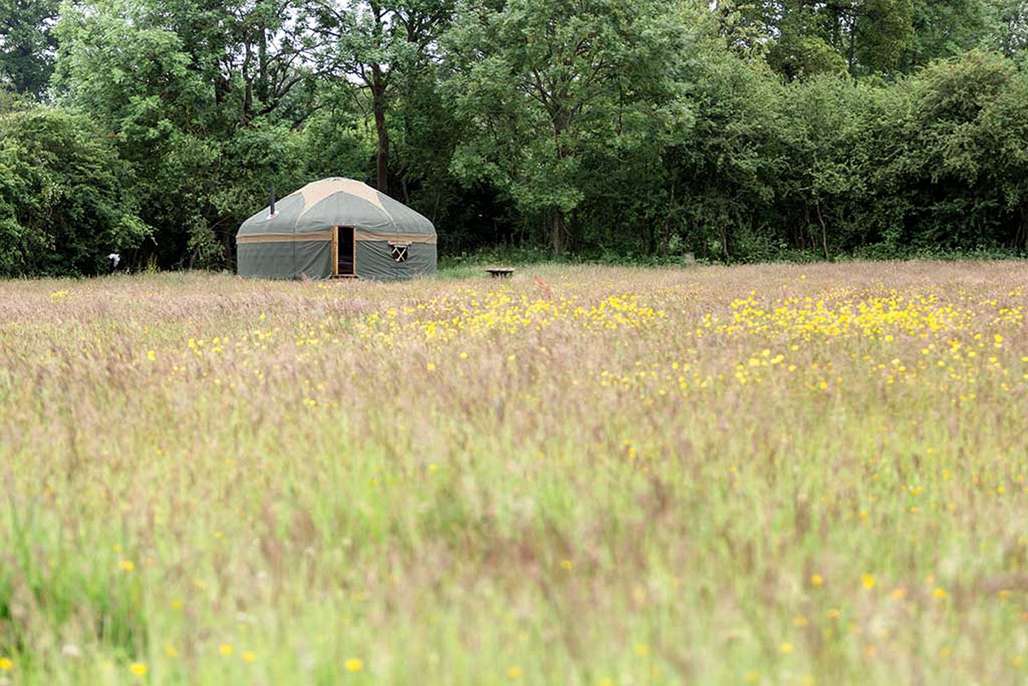 Fantastic Yurt Rental for a Getaway to the Countryside near Leatherhead, England