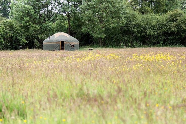 Yurts (Westcott, England, United Kingdom)