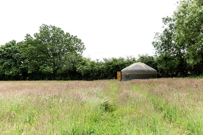 Yurts (Westcott, England, United Kingdom)