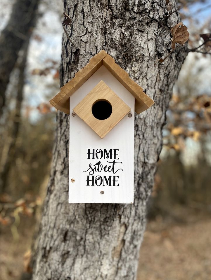 Sustainable and Pet-Friendly Cabin Perfect for Animal Lovers in Bluff Dale, TX