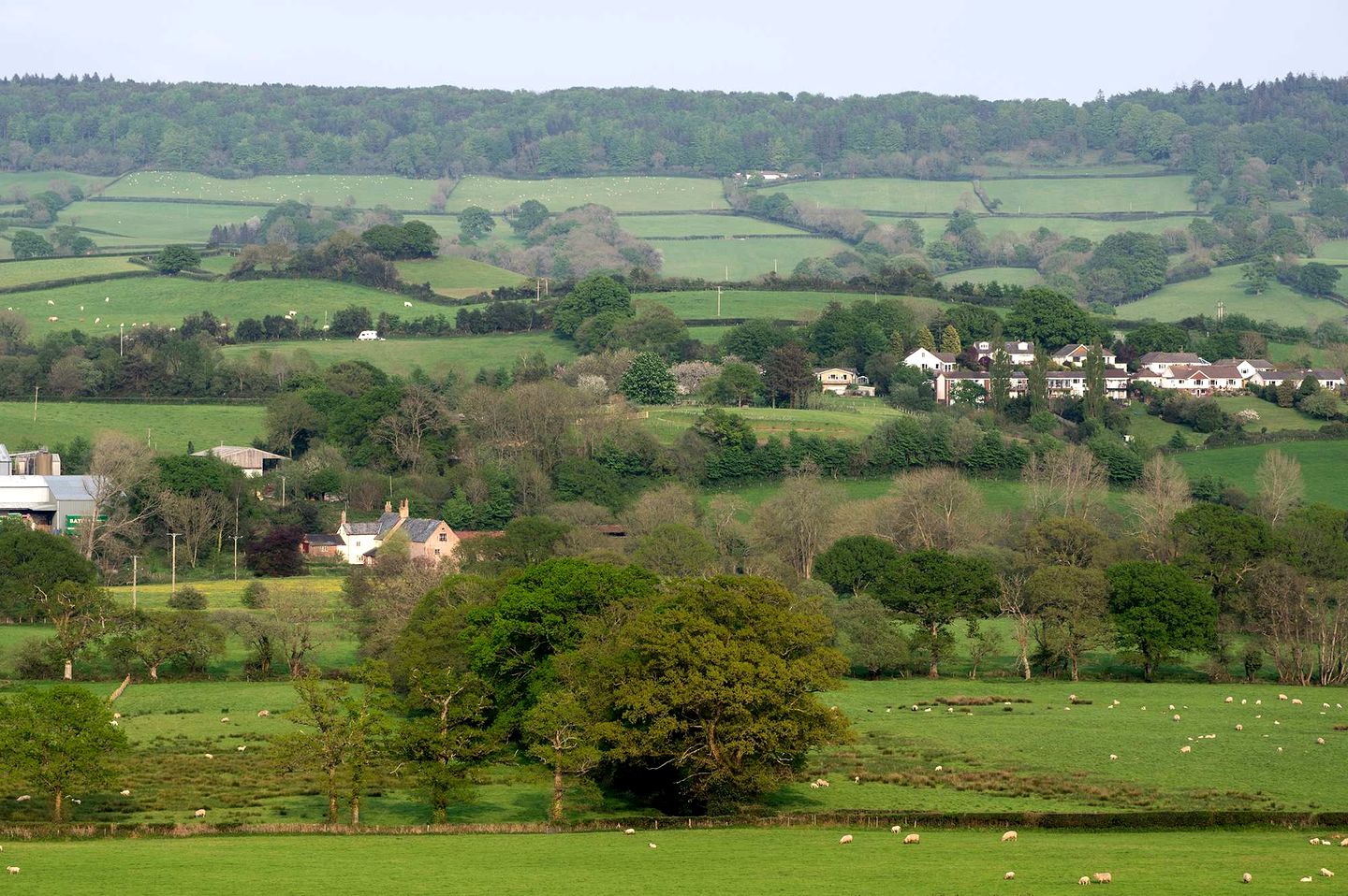 Boutique Glamping Pod with Countryside Views & Chill Vibes in England, United Kingdom