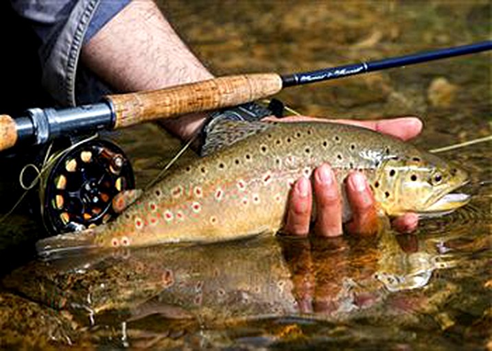 Cabins (United States, Gatlinburg, Tennessee)