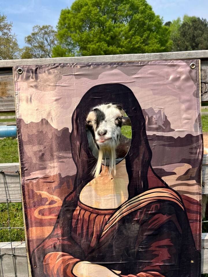 Charming Ranch Retreat with Mini Goats & Paddle Boats near Littleton, NC