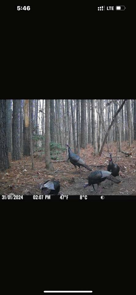 Charming Ranch Retreat with Mini Goats & Paddle Boats near Littleton, NC