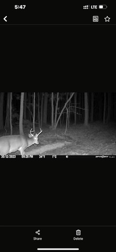 Tiny Houses (United States of America, Littleton, North Carolina)