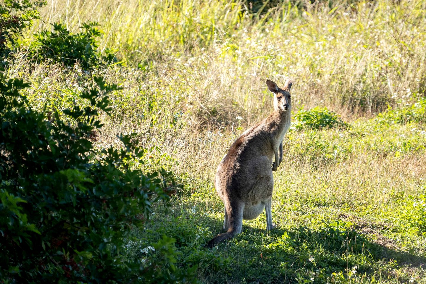 Sweet Retreat by Tiny Away