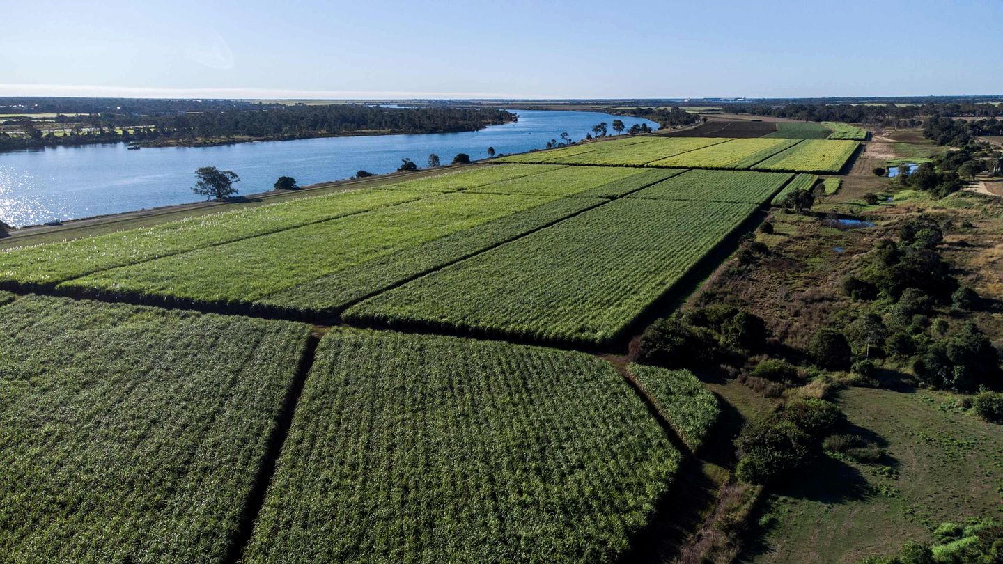 Sweet Retreat by Tiny Away