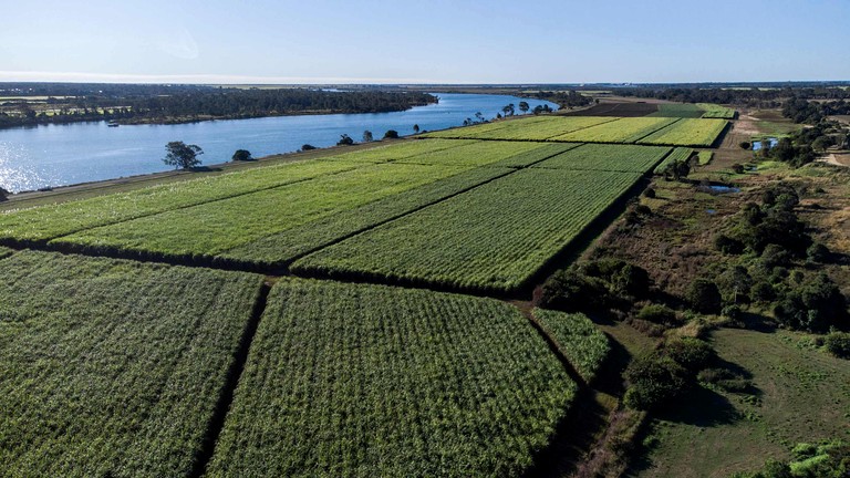 Tiny Houses (Australia, Bundaberg, Queensland)