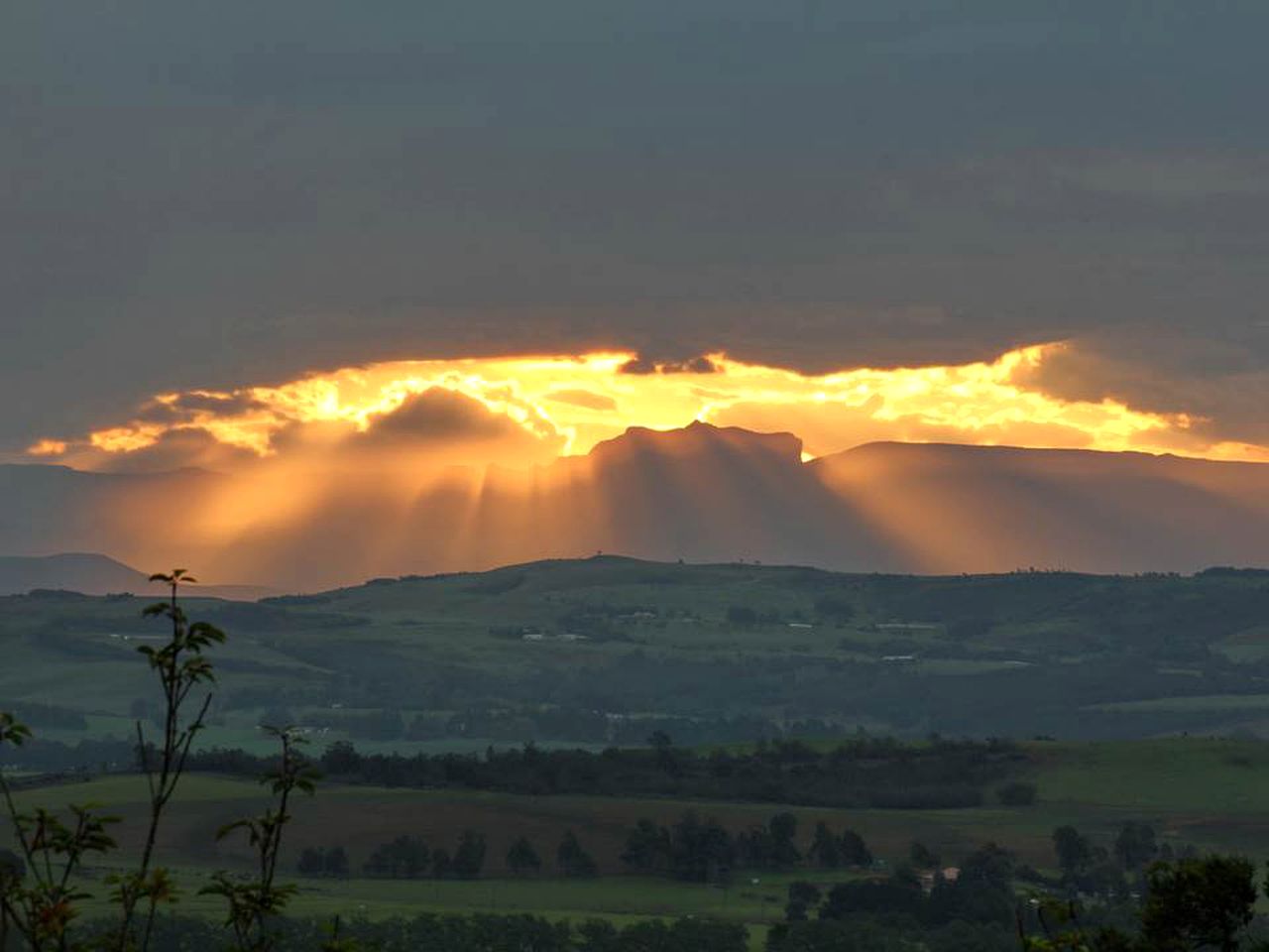 Cozy Cottage Rental Surrounded by Sycamore Trees in Mooi River, South Africa