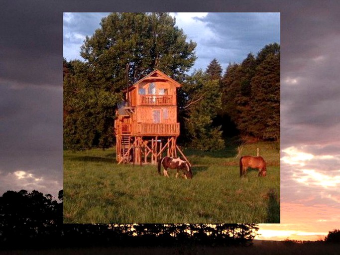 Tree Houses (Mooi River, KwaZulu-Natal, South Africa)