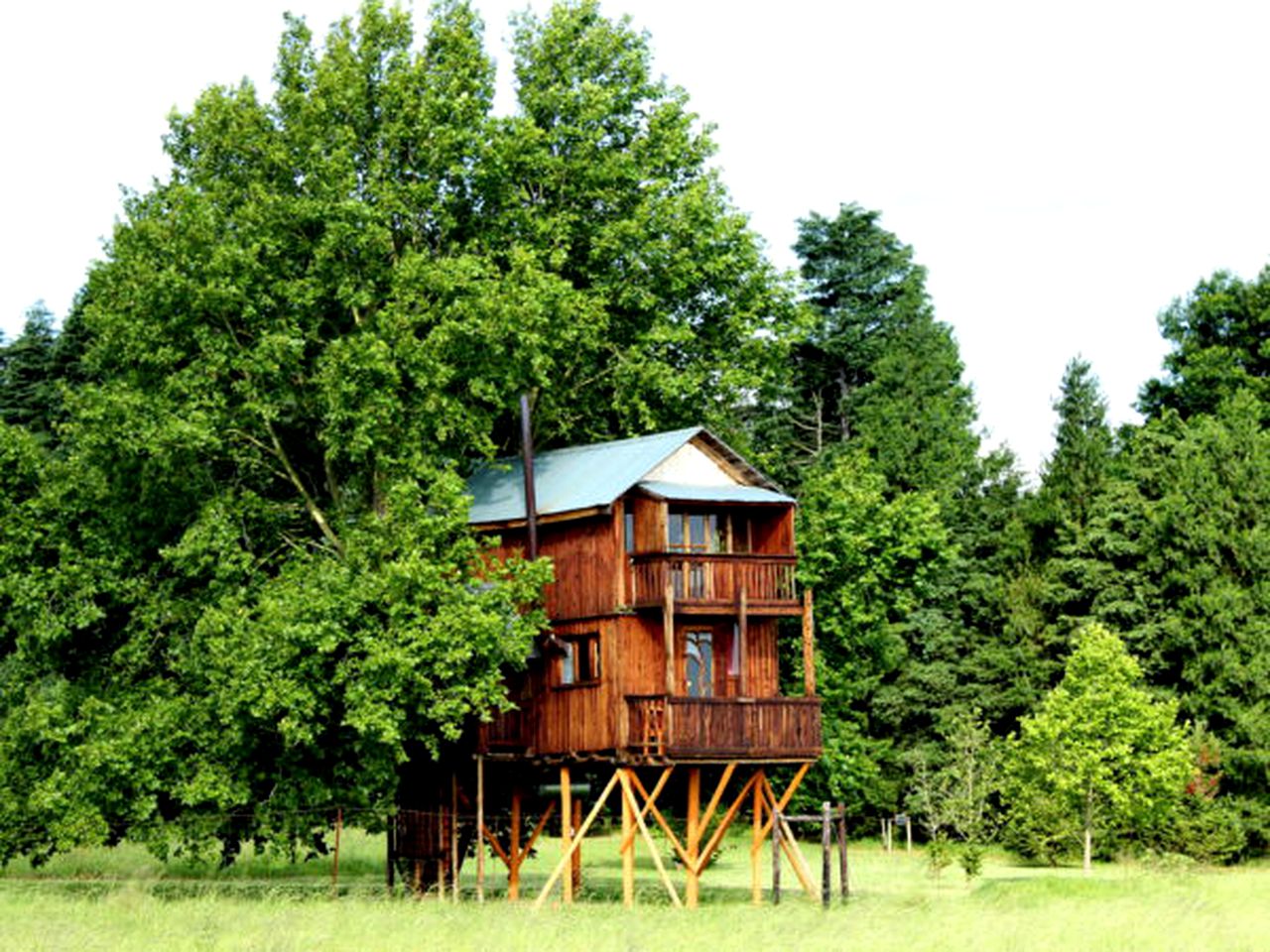 Exotic Tree House Rental Around an Ancient Sycamore in Mooi River, KwaZulu-Natal