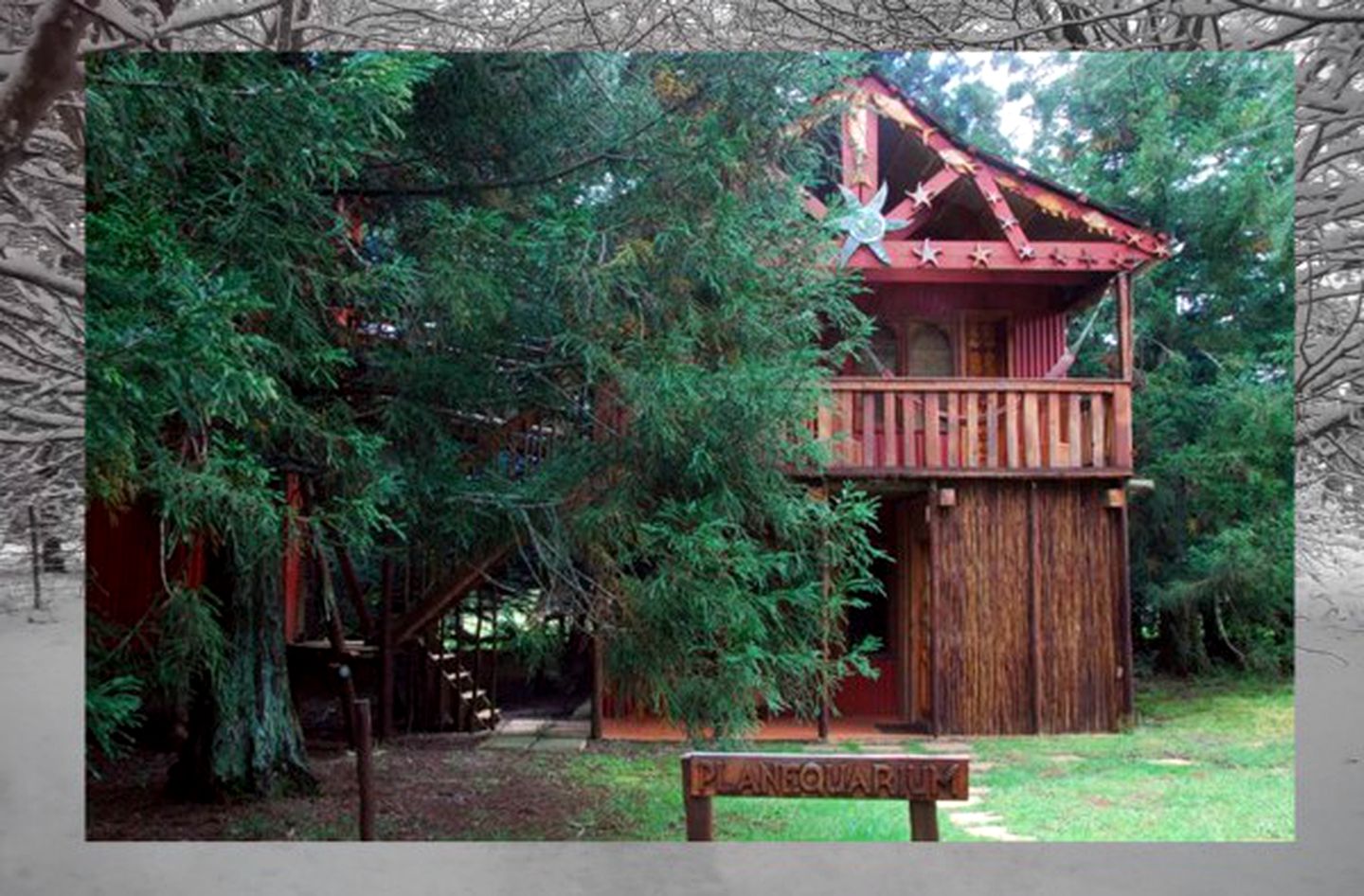 Family-Friendly Tree House Rental in the Gorgeous Natal Midlands, South Africa