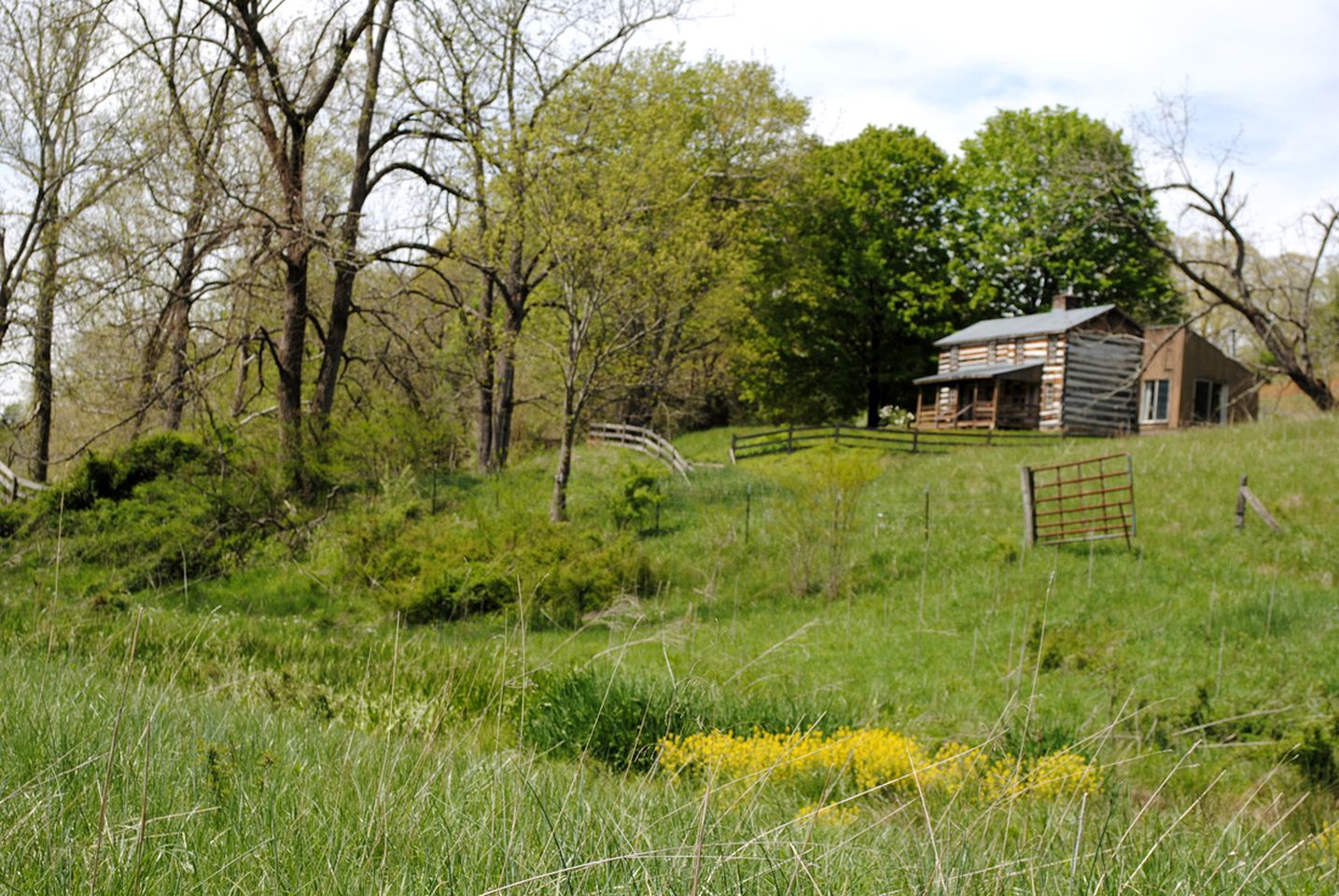 Log Cabin near the Washington National Forest in Virginia