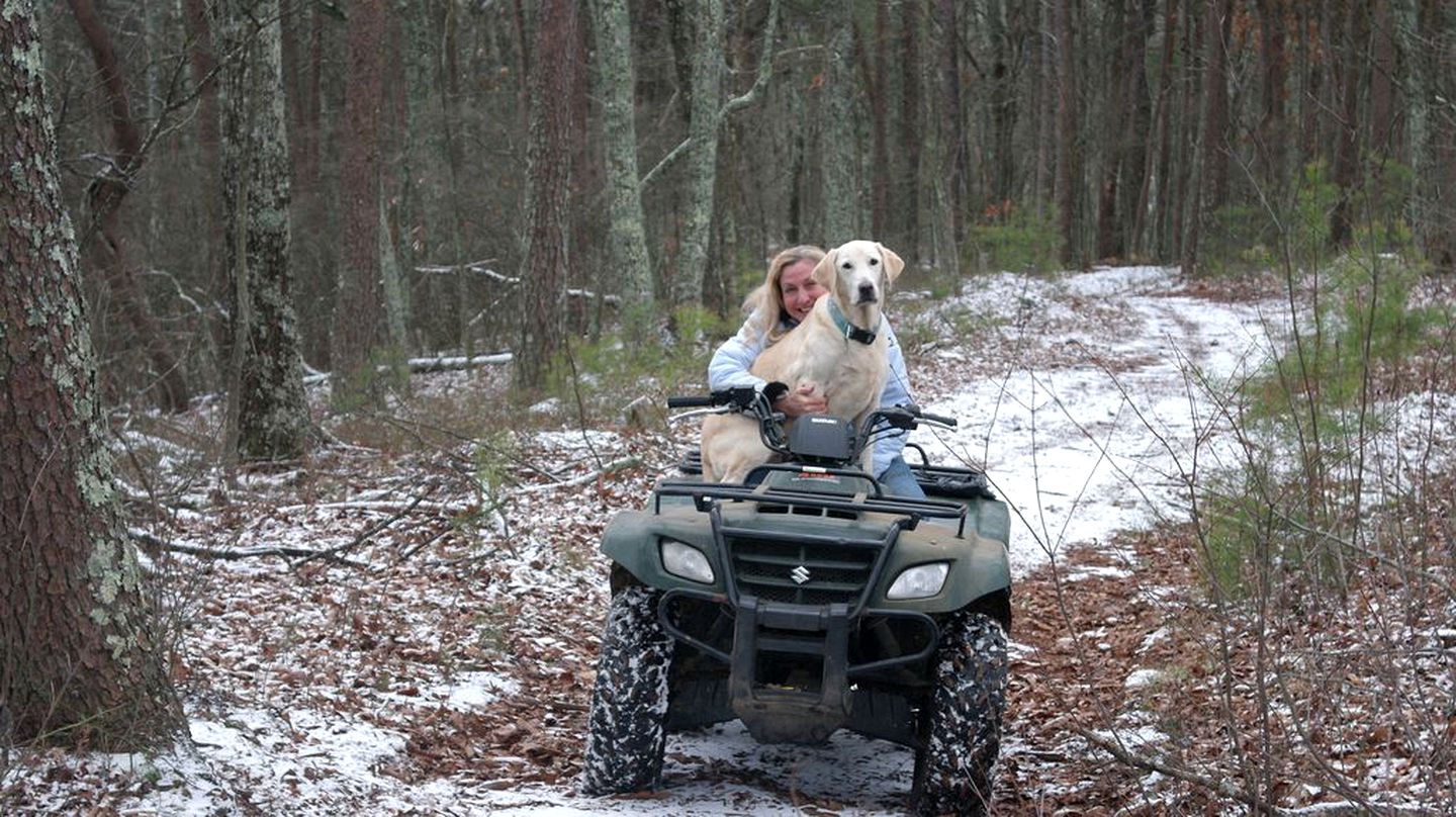 Rustic Cabin on a Woodland Farm in Tellico Plains, Tennessee