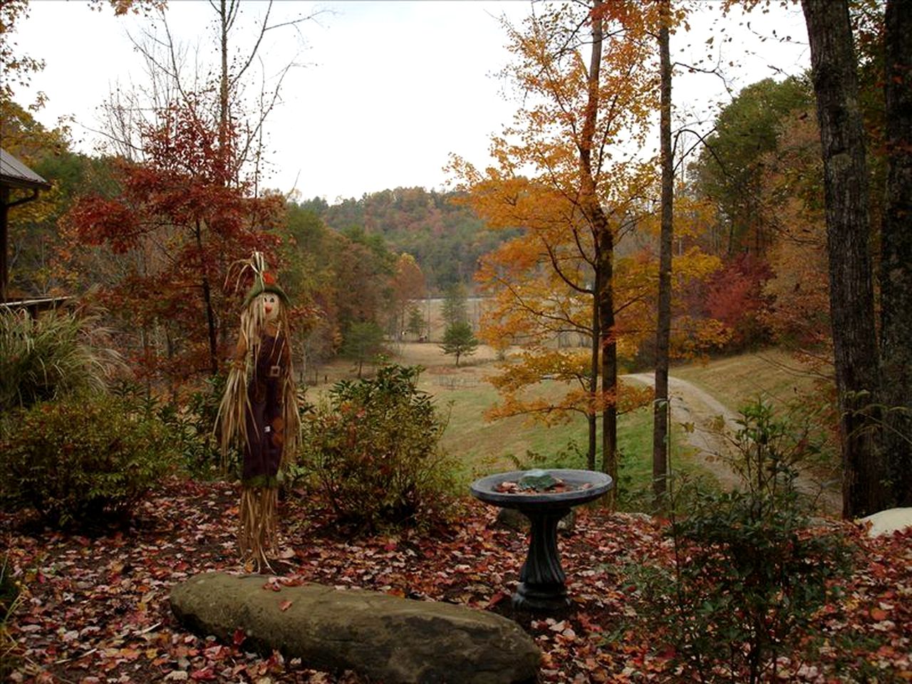 Rustic Cabin on a Woodland Farm in Tellico Plains, Tennessee