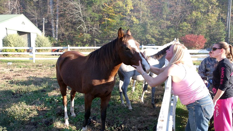 Cabins (Tellico Plains, Tennessee, United States)
