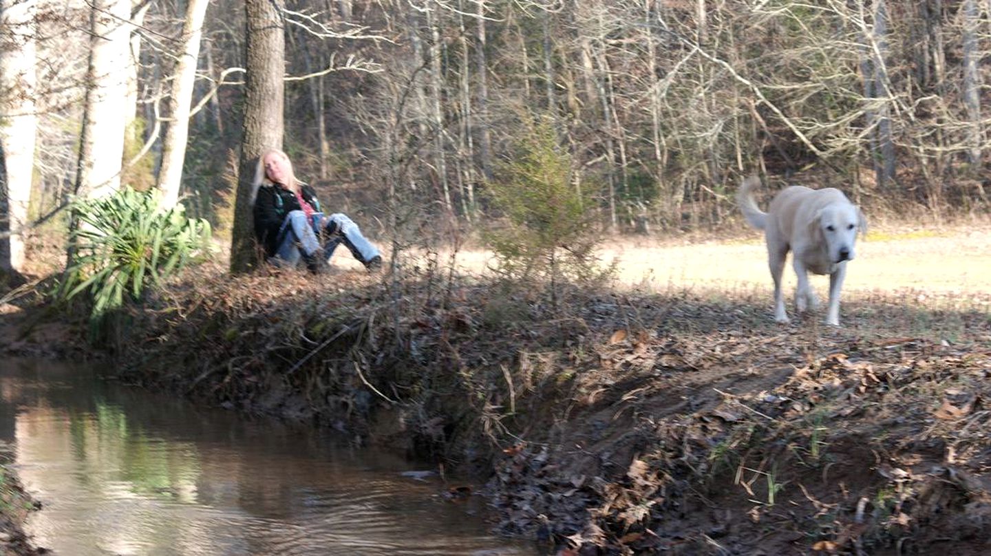 Rustic Cabin on a Woodland Farm in Tellico Plains, Tennessee