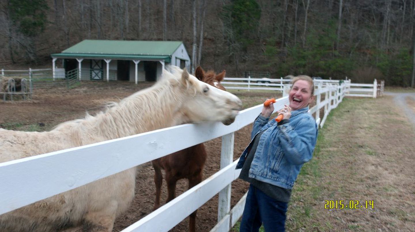 Rustic Cabin on a Woodland Farm in Tellico Plains, Tennessee