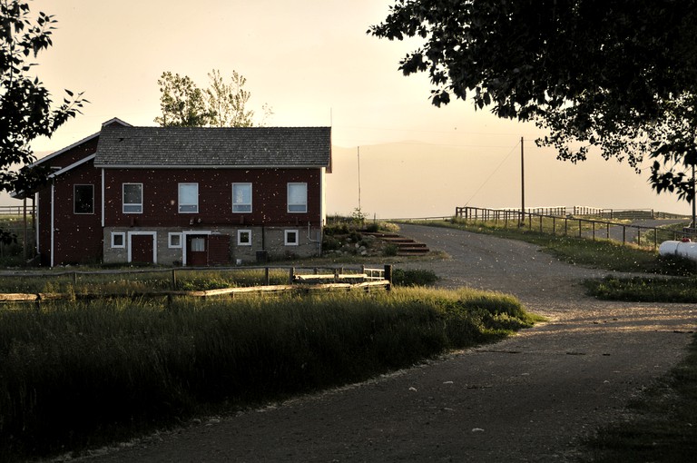 Cabins (Buffalo, Wyoming, United States)