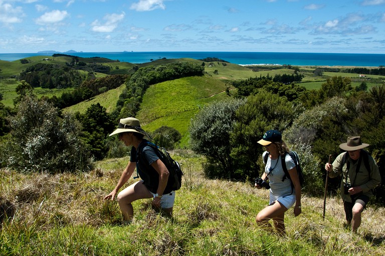 Cabins (Whangarei, North Island, New Zealand)