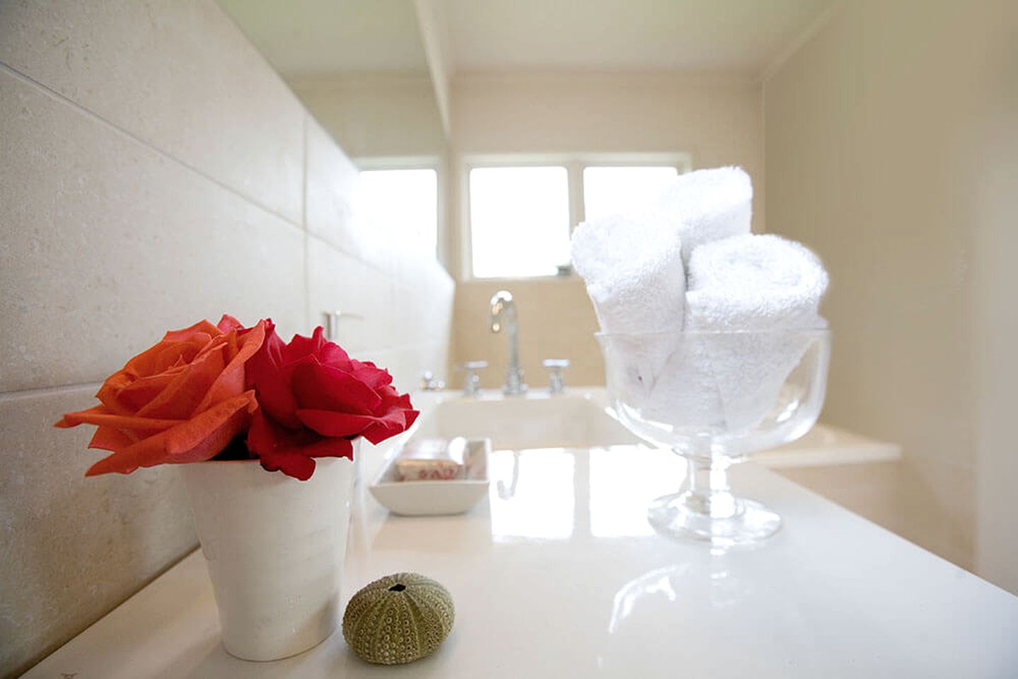 Nature Cabin Rental with a Barbecue near Whangarei, North Island