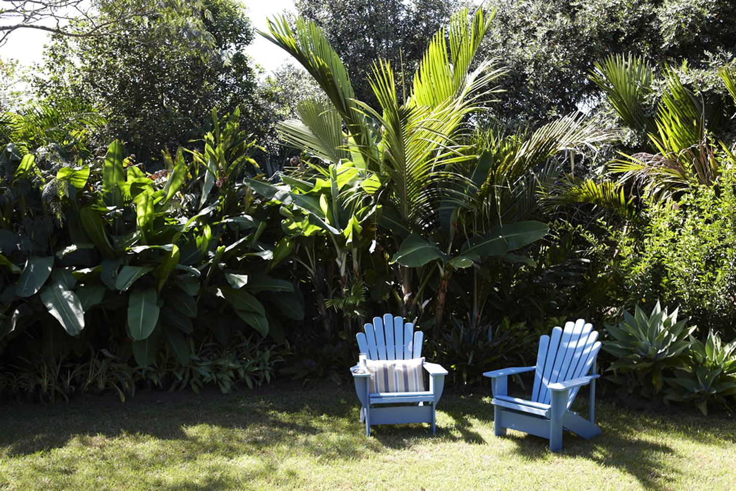 Nature Cabin Rental with a Barbecue near Whangarei, North Island