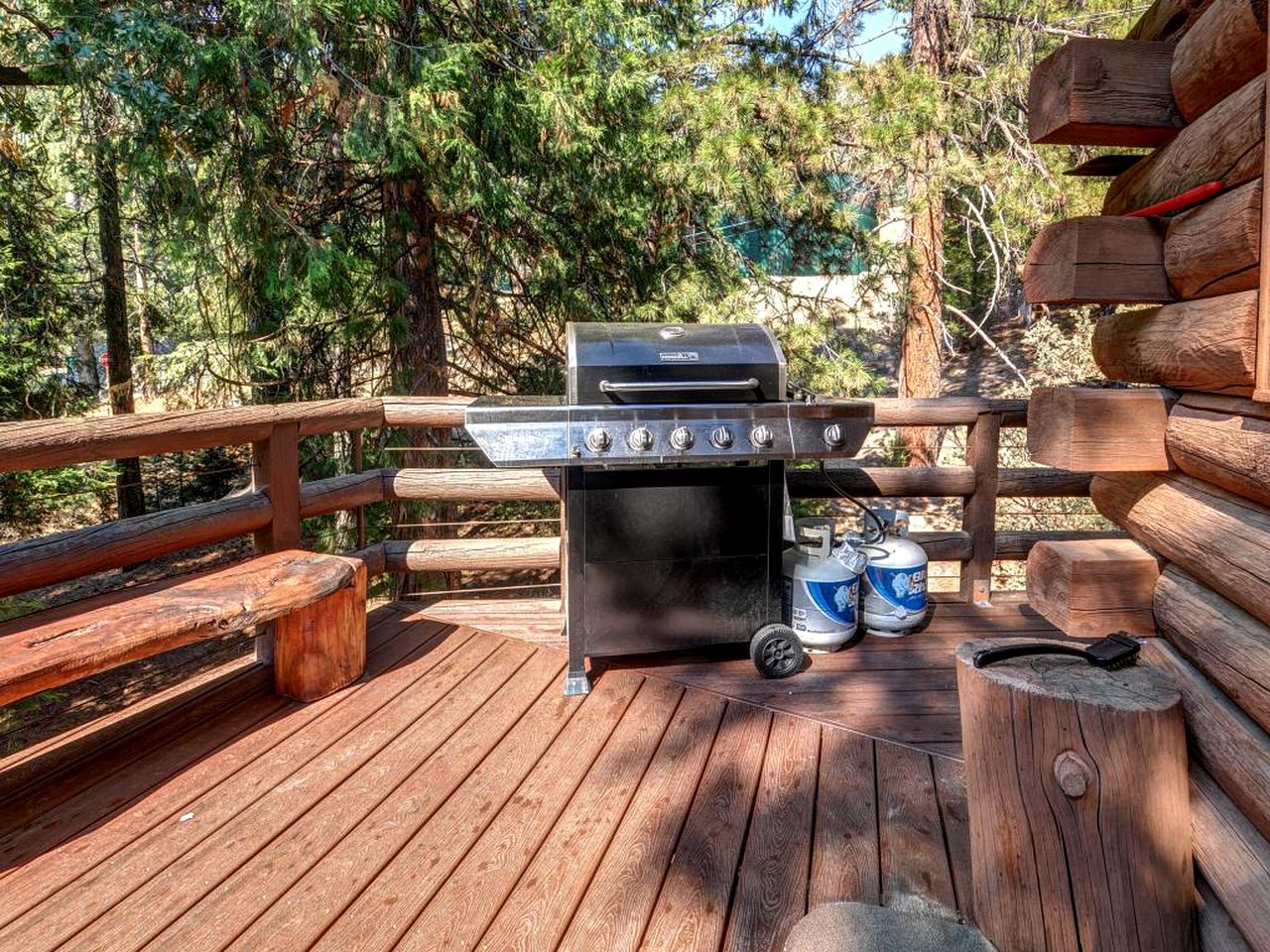 PetFriendly Cabin Rental in San Jacinto