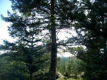 undefined photo 2