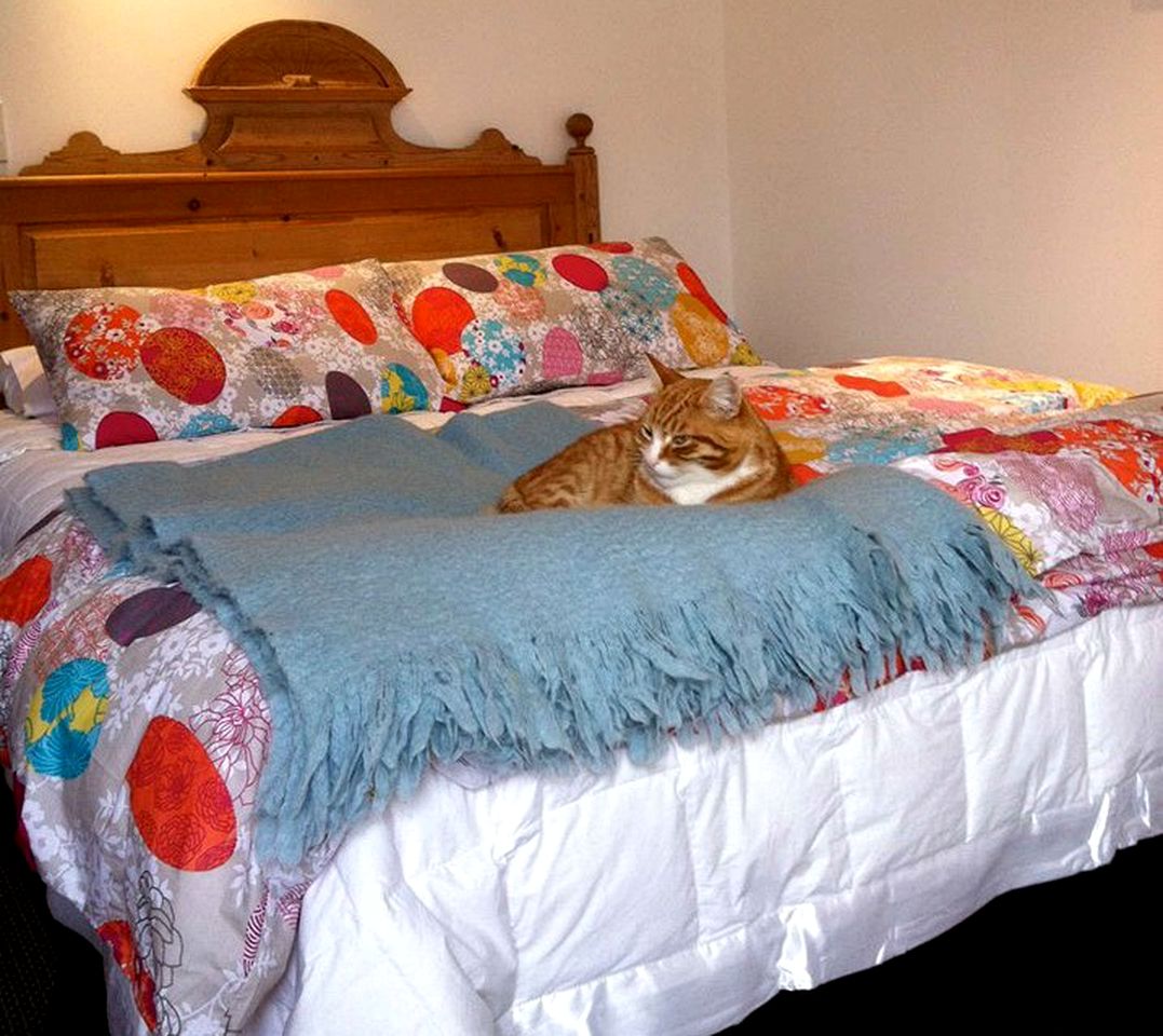 Comfortable Suite Rental with a Lovely Courtyard near Christchurch, South Island