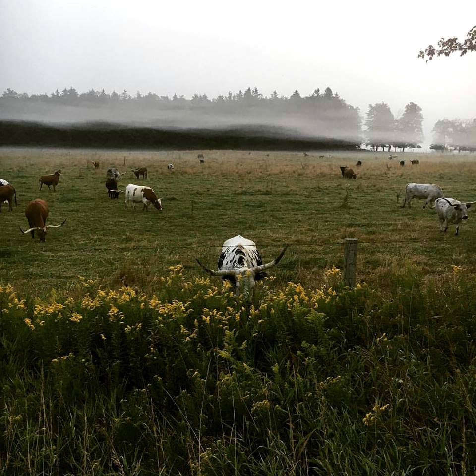 Vacation Rentals (Hillsburgh, Ontario, Canada)