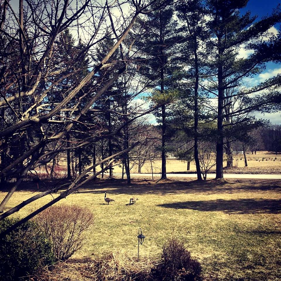 Modern Vacation Rental with Trail Access in Picturesque Erin, Ontario