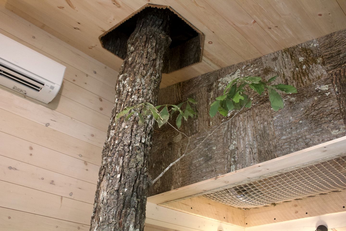 Luxury Treehouse Glamping with Soaking Tub & Pizza Oven Near Waterfalls, Zirconia, NC