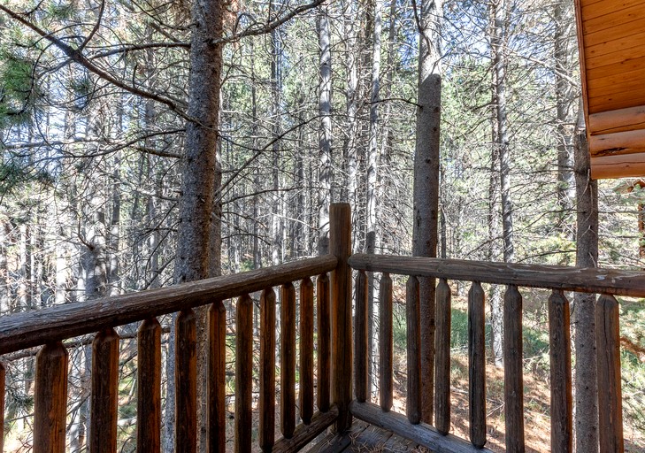 Cabins (United States of America, Idaho City, Idaho)