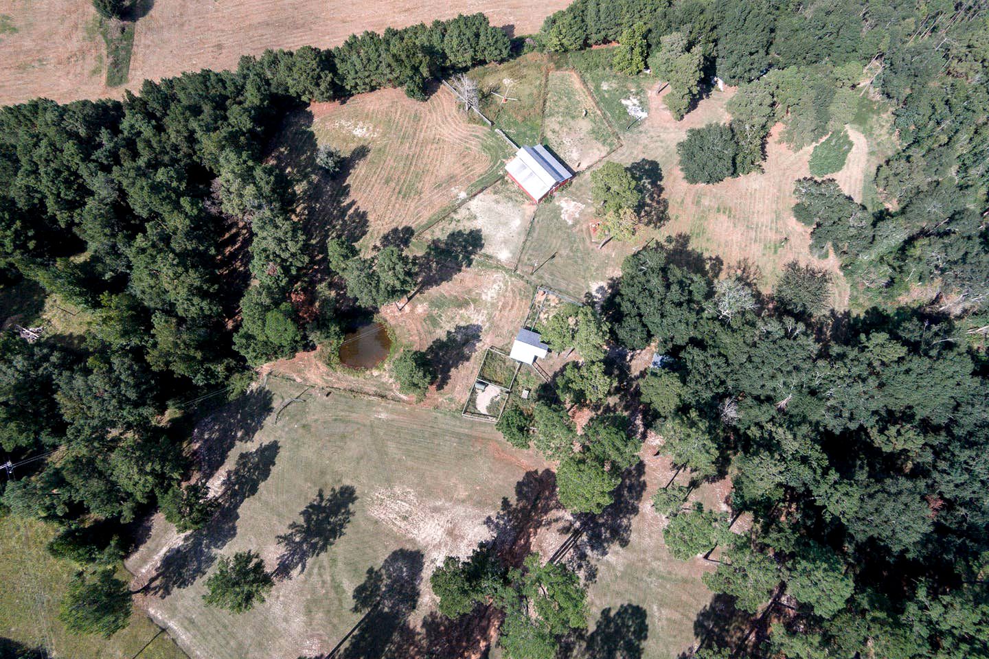 Spacious Log Cabin Rental for Family Vacations in Texas